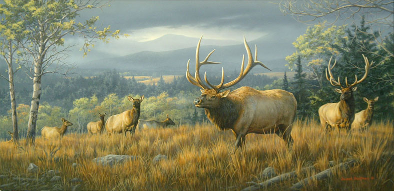 Jim Hautman Elk painting