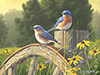 Bluebirds painting