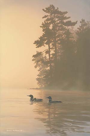 Solitude Loons painting