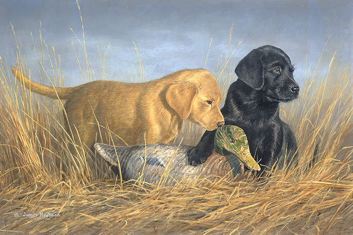Lab Pups and decoy painting