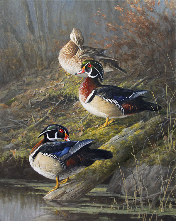 Woodduck painting