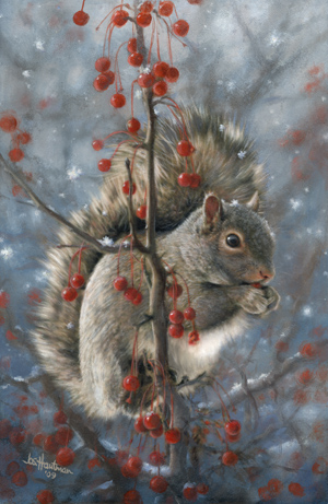 Winter Squirrel