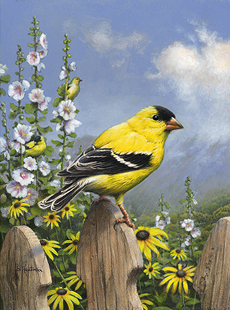 Joe Hautman goldfinch painting