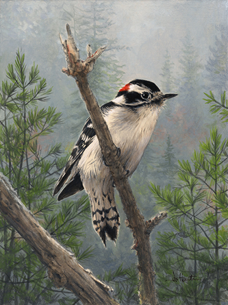 Joe Hautman woodpecker painting