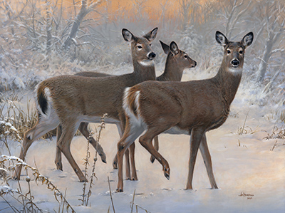 WINTER DEER