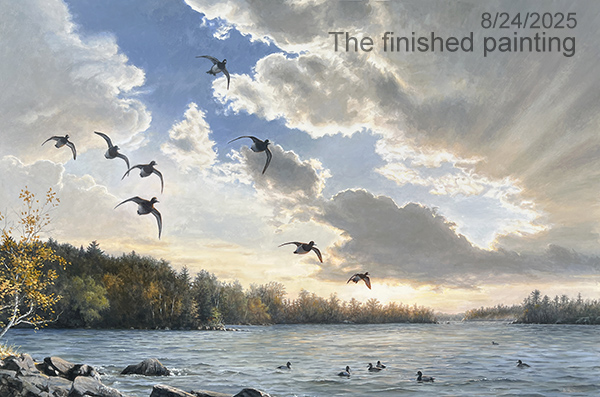 Bluebills and Scaup painting