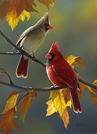 Cardinal pair