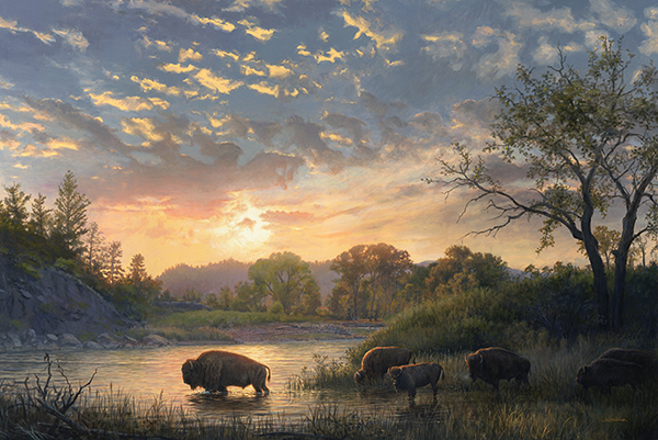 Buffalo painting