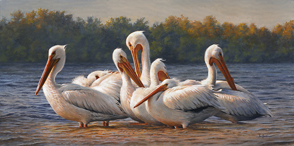 Seven Pelicans painting
